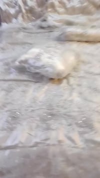 فرشة • للبيع