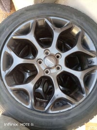 ويل كب ١٩ • مكسيكي اصلي • بلا اعوجاج