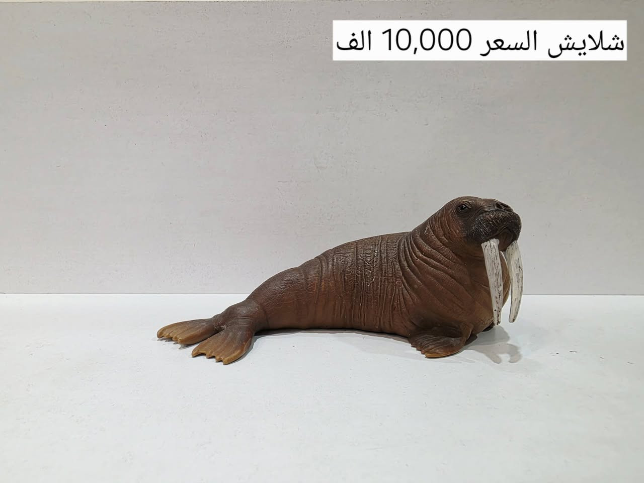 السلام عليكم
مجموهة حيوانات شلايش للبيع
المجموعة الثالثة
كل قطعة وسعرها موجود على الصوره
موجود توصيل بغداد فقط
للحجز مراسله على الواتساب ***********
