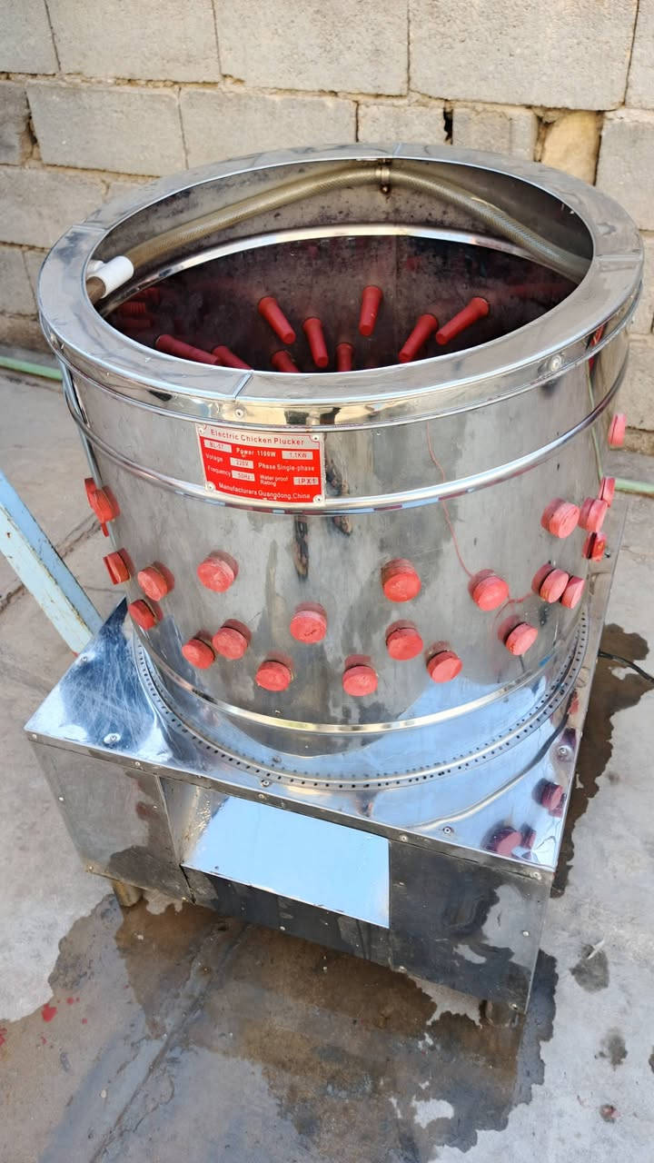 هلاسه دجاج للبيع إستعمال قليل السعر 250
الشراي يتصل ما متواجد عالفيس ***********
واكون غراض قفاصه وسنكي وبراميل وطباخ وچزمه سعرهم لوحدهن
