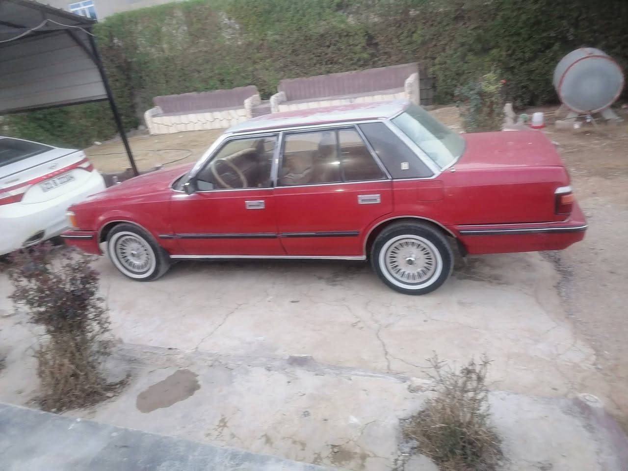 رمضان كريم للبيع سوبر ٨٤ رقم بغداد صدامي شرط التحويل محرك كير بطه جديد سياره داخل نضيف خارج جدام العين محرك كير شرط سياره حلوه مال جناي السعر بيها اجم قطعه رش بدون دواخل السعر ٣٨ وبيه مجال للشراي *********** خابر وتدلل مكاني الشركاط
