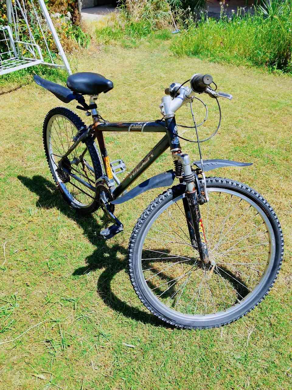 بايزكل للبيع 🔥🚲
حجم 26🔥
تايرات جدد🔥
بريكات شغالين✅
السعر 65 وبي مجال للطيبين🔥🤍
📍العنوان موصل جانب الايسر حي العربي...
للتفاصيل اكثر اتصال على الرقم
***********
