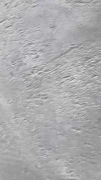 بابل • باحة خارجية • باحة داخلية