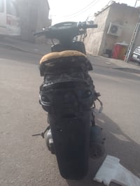 فراشه • شغاله • مراوس