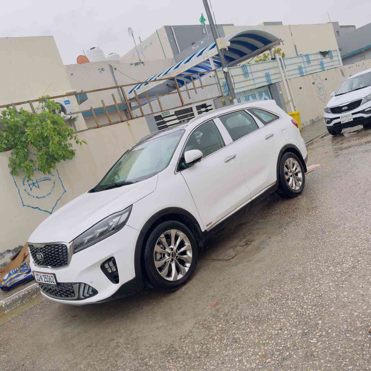 سورتنو 19 خليجي فول موصفات العنوان النجف السعر 168$ الاستفسار‏‪***********‬‏
بنوراما 
كامرات دوارة 
كشنات تبريد تدفئة 
فور ويل 
رقم بغداد 
مكفولة كفالة عامة 
6 سلندر
7 راكب
3 قطع تبريد
بصمة تشغيل وابواب
مري شفط 
جنطة  كهرباء 
كشنات جلد
كشنات كهرباء 
بردات بلادي
لايت زنون
حساس خلفي
تحكم ستيرن 
أربعة انظمه قيادة
كاميرا دواره 360 درجة
مقاعد جلد كهرباء 
الكشنات تدفئة تبريد 
حساسات امامي خلفي
إشارة ترحيب بصمة تشغيل
ويل كروم 19 
اوتو بريك
