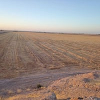 ذراع دجله • ١٥٠ دونم • آبار وغطاسات
