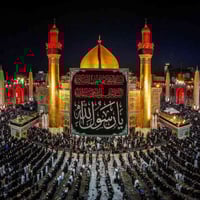 حملة للنجف • الامام علي • زيارة المقبرة