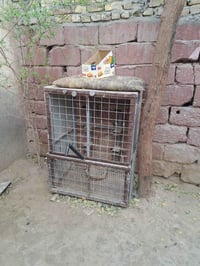 قفص • ٧٠×٥٠×١١٠ • رفاعي خلف بدعه