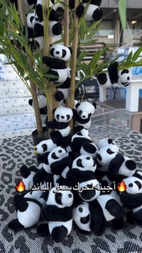 زينة باندا • بسمايه • سنتر دراهم