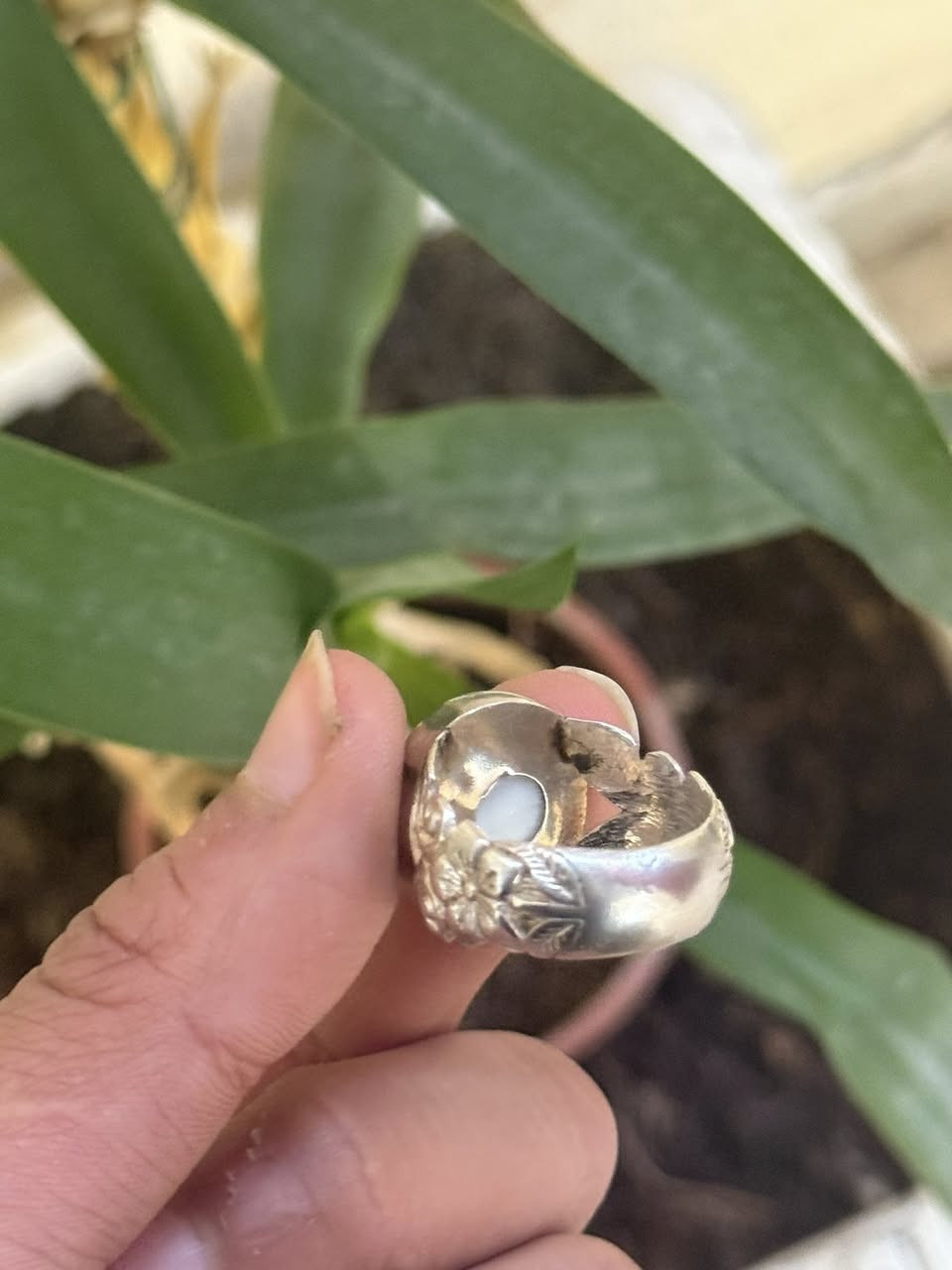 جزع يماني بقري فضه درجه أولى ‏للاستفسار على الرقم***********￼
