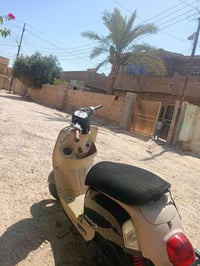 ماكس بوليس