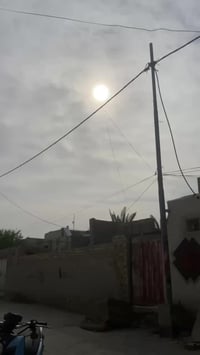 سكنس جبلي • سمائي • منفيس