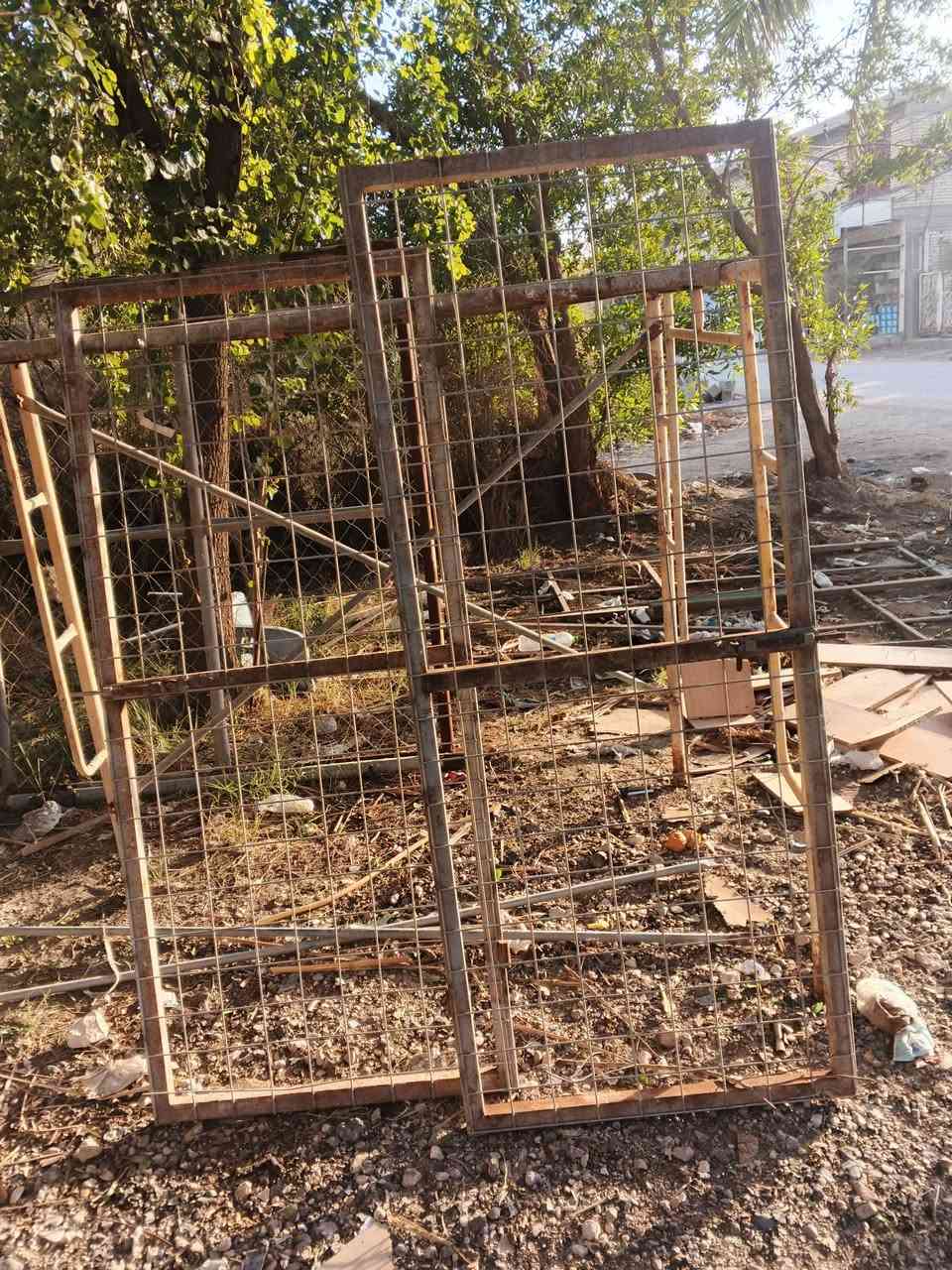 جينكو للبيع ***********
