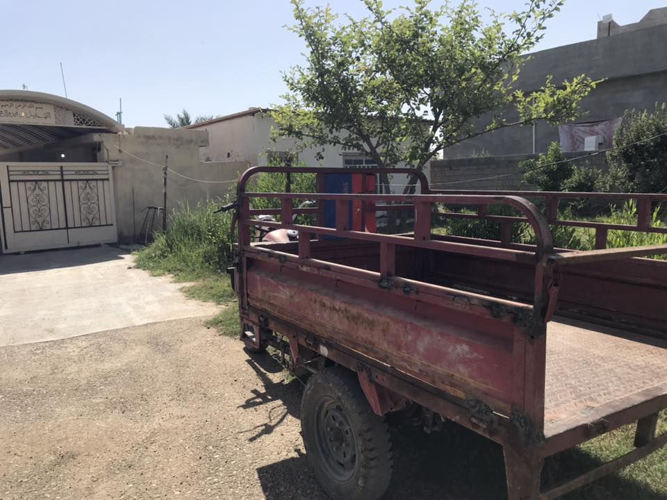 ستوتة للبيع شهربان سعر ٤٥٠ وبيه مجال ***********
