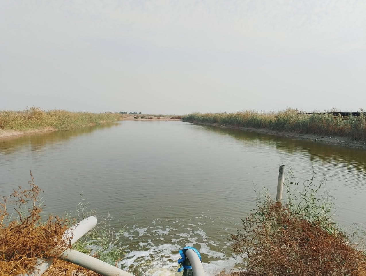 بحيره  للبيع مجازه 10دونم طابو على سند 25 بسمي توجد كافة الخدمات بيها الموقع المدائن سلمان  باك الچ للاستفسار الاتصال على الرقم ***********
