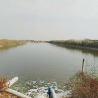 بحيرة • ١٠دونم • طابو سند٢٥