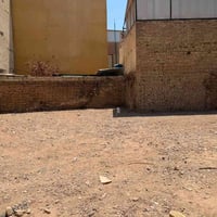 سبع ابكار • ٥٥م • طابو