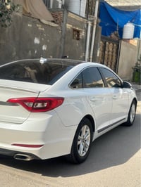 سوناتا وارد كندي • ٢٠١٧ • دواخل عسلي