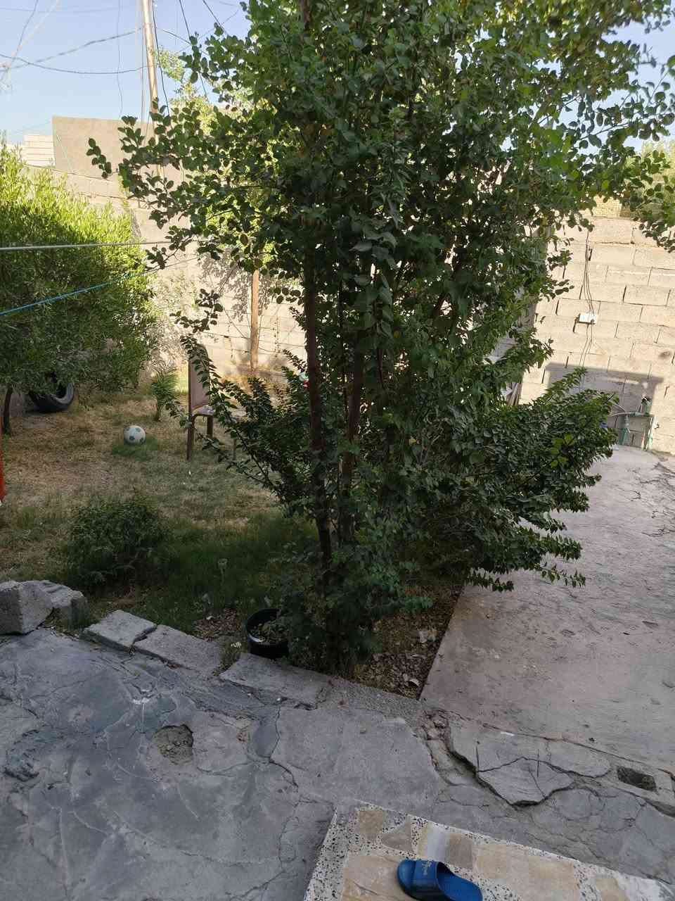 دار للبيع مساحه 200 م يحتوي على غرف اثنين صاله كبيره مطبخ واستقبال حمام داخل وخارجي حديقه كبيره يبعد عن الشارع العام 50 متر خلف محطه وقود ريبال شارع المطار الجديد طابو زراعي سعر 39 الاستقبال عن اسماء كامل البيت عوزه ترتيب***********
