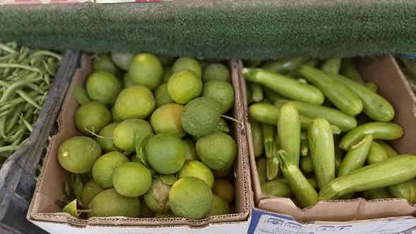 توفر تين عراقي
كيوي بطعم الفروله 
طماطه كرزية
كستنا 

قرية الانتصار شارع السوك قرب الممرض الجامعي ابو روان 
كرار ***********
او مراسله الصفحه
توجد خدمه توصيل 🛺
