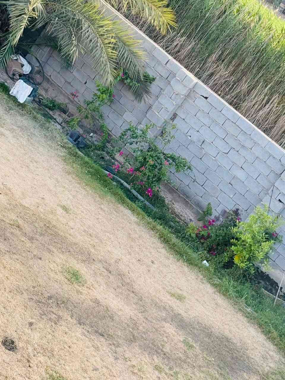 اعلان عقار مميز للبيع 📢

ارض طابو زراعي سند 25 تحويل مباشر
سند مفروز وحدة أبو الفسفورة

🔹 مساحة الارض: 3 دونم
🔹 تحتوي على بيت بمساحه200 متر

🏡 مواصفات البيت:
• 3 غرف نوم
• صالة استقبال
• مطبخ حار وبارد
• حمامات داخلية وخارجية
• واجهة شارع 25 متر

✅ المنطقة مخدومة بالكامل:
ماء • كهرباء • تبليط • ماء سقي • سحب مولدة

📍 المدارس والحسينية قريبة جداً من الموقع

📌 الموقع:
بابل – المشروع – منطقة العزاوية
تبعد عن الشارع العام 3 كيلو متر فقط

مكتب مهدي سمير 
***********
***********
