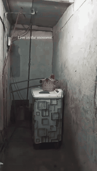 سلام عليكم يوجد بيت للبيع عنوان حي العامل مجمع جيش القدس قرب بيت الياباتي يتوفر كامل الخدمات من مي ومجاري سعر 14وبي مجال للستفسار اكثر تصال ع رقم ***********
***********
