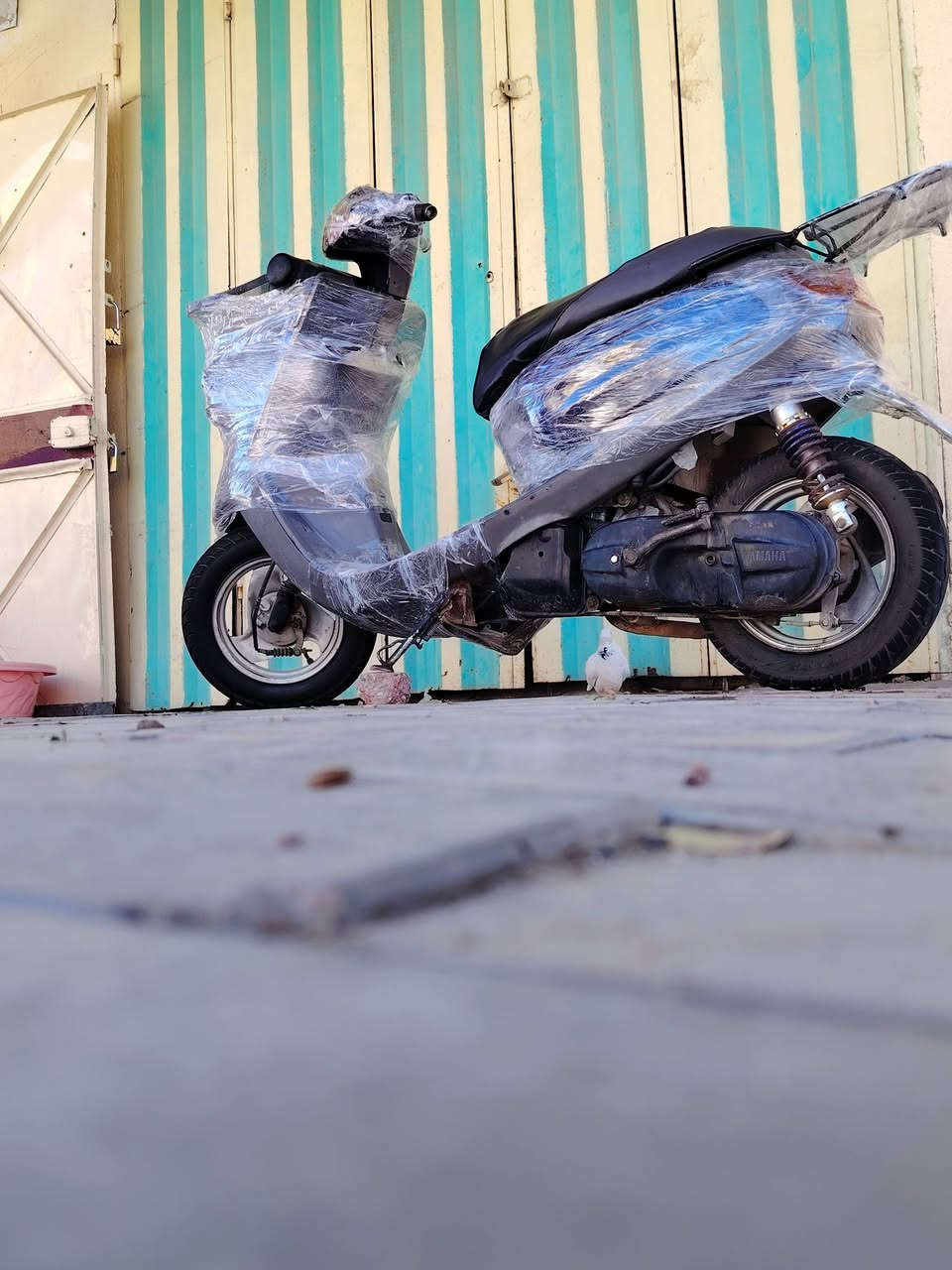 سلام عليكم ورحمة الله وبركاته
دراجه منغولي نضيفه ومرتبه كلش  مال  جناي

السعر 380 وبيها مجال قليل دراجه محرك ناعم ومرتبه كلش، مكاني كربلاء المقدسة حي القادسيه

***********  مامتواجد خاص. فقط اتصال  فقط نقصها سله
