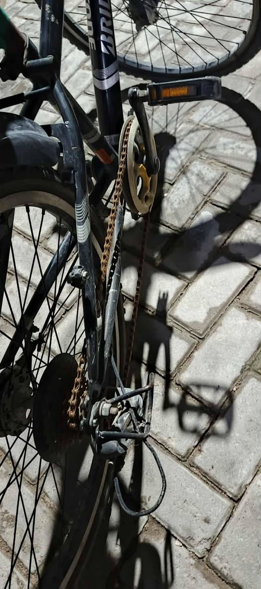 السلام عليكم بايسكل ياباني فافون حجم 22.
قابل للمراوس بناتي فقط. 
.. 
.. 
.. 
.. 
.. 
السعر: 60 الف وبي مجال 
الرقم واتساب للاستفسار: ***********
