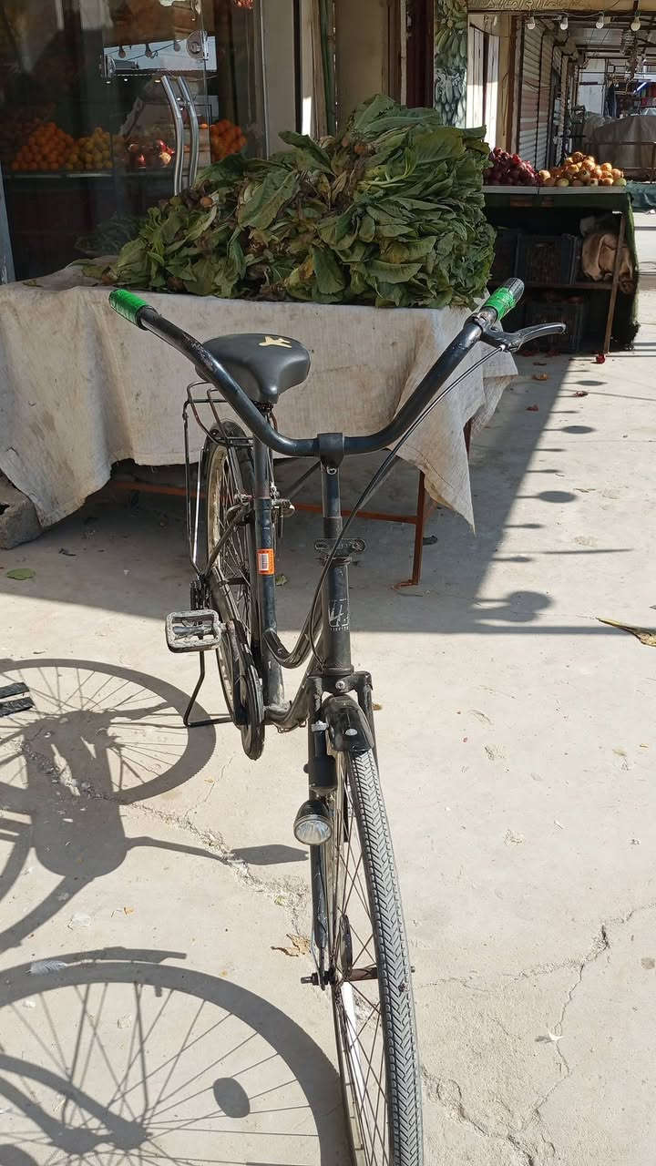 سلام عليكم باسكل سياحي
للبيع باسكل نضيف
رغراه كالمه 
حجم26
سعر 100وبي مجال
رقم ***********
