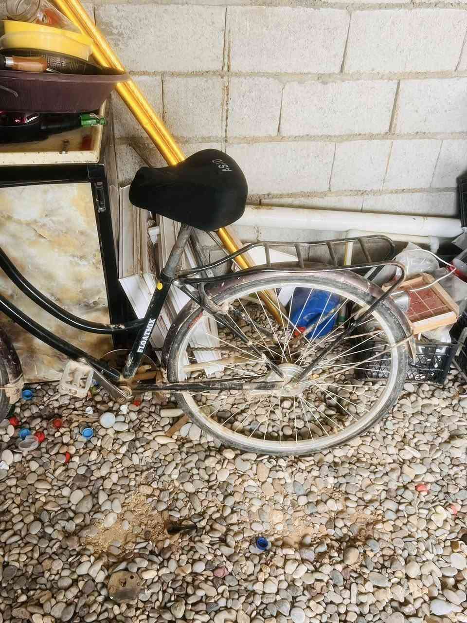 سلام عليكم بايسكل البيع السعر 70 وبي مجال


**إذا كنت صاحب هذا الإعلان وتريد حذفه لأي سبب، رجاءا أرسل رسالة إلى الدعم الفني**