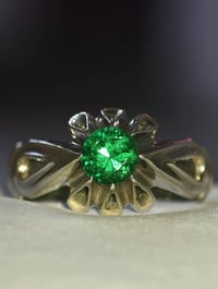 منفردة الجمال • قطعة نادرة