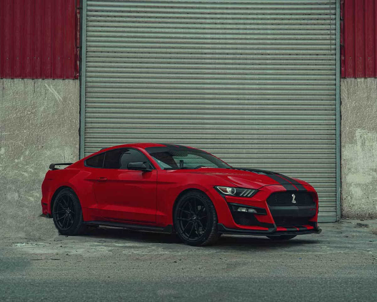 فورد موستنك 2017 كير عادي نص مواصفات قطعتين صبغ محرك وكير جدد عينة وصينية جدد حدادة امامية خلفية جديد ويل  فيرادة اصلي تخم تاير جديد حادثها جاملغ وبنيد فقط محدثة شيلبي بلكامل كزوز بورلا حلوك كزوز كورسا سيارة جاهزة ومرتبة عليها شوتة عليها برمجة سيارة حيل نشطة نواقص خفيفة يطيح من سعر لسيارة رقم بصرة مميز تحويل ثاني يوم السعر 115 وبيها مجال للشراي والنواقص يطيحن من سعرها مراوس عادي اراوس للاستفسار *********** البصرة, العراق
