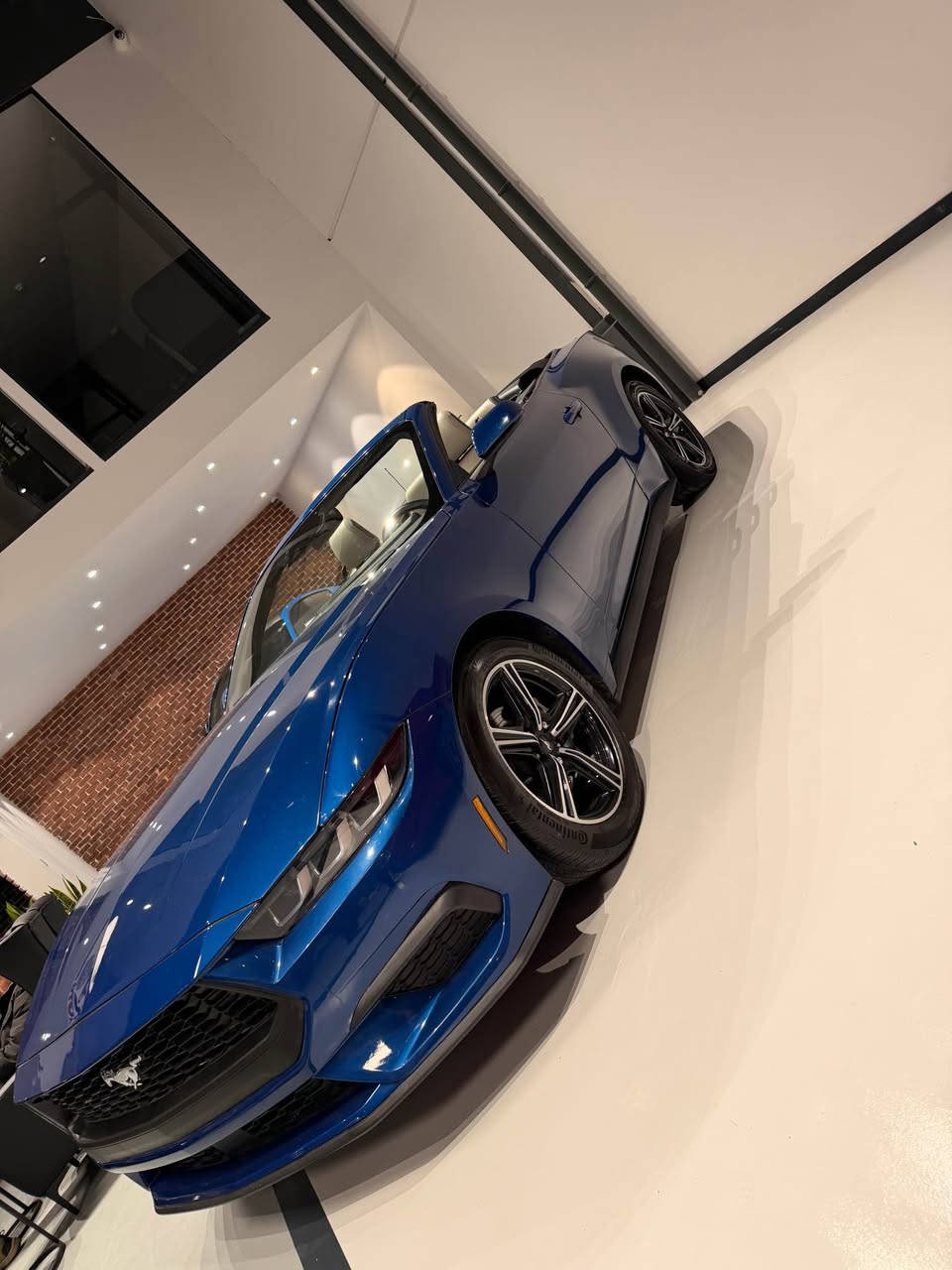 سلام عليكم
2024 mustang ecoboost premium
فول مواصفات
شاشة قطعة وحدة
داخل ابيض
حادثها جاملغ و بونيد ارباك ستيرن مرجع بلادي
ماشية الفين ميل 
رقم كاتي يترقم سليمانية اربيل دهوك 
سعرها ٢٢٥$ 
مكان سليمانية
رقم تلفون  *********** viber whatsup السليمانية, العراق
