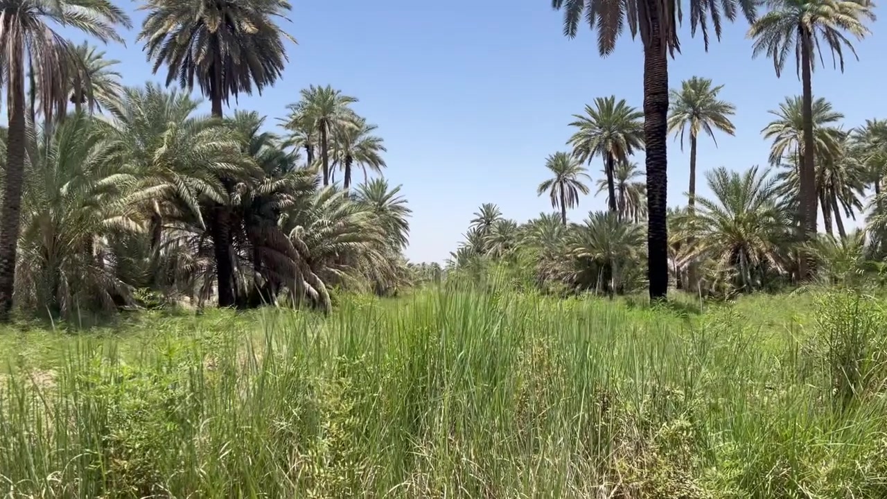 السلام عليكم ٣دونم   طابو زراعي كافه الخدمات السعر ٥٥للدونم الواحد  الموقع حله سياحي  دولاب الاستفسار  ***********
 (تابع الصفحه لمشاهدة المزيد من العروض )
