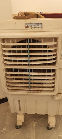 كونفيرة • نظيفة