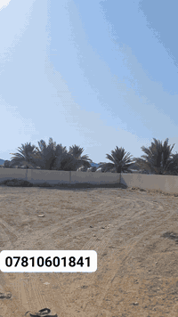 كربلاء طريق نجف • ٥٠٠م • طابو زراعي ٢٥