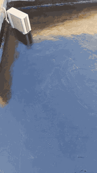 يالله اللهم صل على محمد وال محمد
تطبيك شتايكر اعادة ماستك شغل درجة اولئ 
شرط الفحص ما مستلم حساب اذا ما تقتنع بشغل
وتفحص ماي امام الخلفية ابو عقيل نتكفل العمل
للاستفسار أكثر اتصل على ☎ ***********
