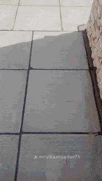 السلام عليكم
كادر  لتطبيك  الشتايكر. واعاده الماستك. بانسب الاسعار
تفاصيل العمل 
زفت الدوره
شتايكر درجه اولئ. 
زميج شط نضيف جدا 
نايلون زراعي  افضل نوعيه
فوم  او فلين درجه اولئ 

شغل درجه اولئ شرط الفحص 

تطبيك فقط عمل.
او كرسته وعمل 
 العمل عل المتر بحسب المتطلبات من العوازل او بدون عوازل… للاستفسار ***********
***********
