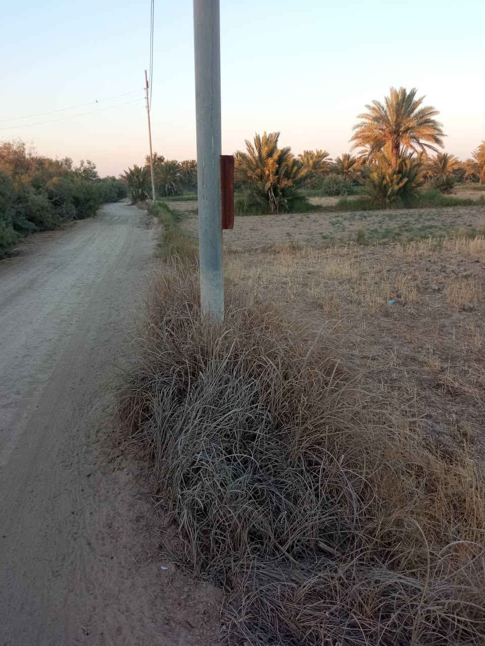 السلام عليكم قطعه ارض للبيع مساحه 2 دونم و 300 متر الواجه 25 متر موقع الارض شارع الرابط بين تقاطع العلويه شريفه ع و طويريج منطقة الدسميه قريبه على شارع الزوار الرئيسي طابو زراعي سند 25 تحويل مباشر خدمات كامله ماء اساله والكهرباء وماء سقي وجه على البزل ارض حلوه 

الاستفسار.    ***********
