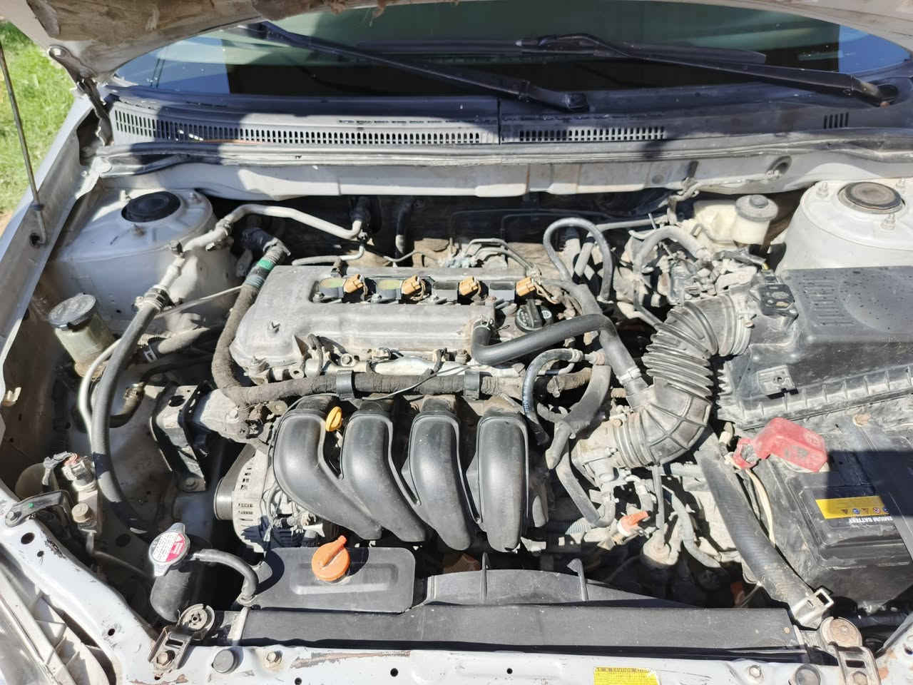 سلام عليكم للبيع كورله نحله 2007 سياره كير محرك حداديه كفاله سياره مصبوغه عام اثر جراد بدون طخه او كلبه سياره بسمنه الرقم‏‪***********‬‏ رقم بغداد الدولي الجديد سعر82وبيه مجال بسيط مكان واسط كوت مركز مدينه
