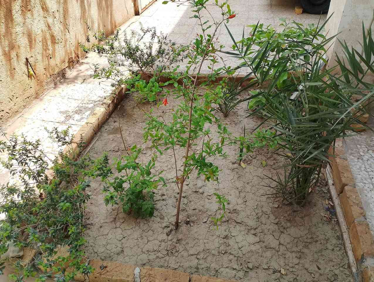 السلام عليكم 
بيت للبيع مساحة 220 متر 
يحتوي على
غرفتين
صالة واسعة
استقبال
حمام داخلي وخارجي 
ومطبخ داخل البيت وخارج 
العنوان الشيشان الثانية
للتواصل والاستفسار 
***********
