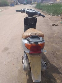 عصفوري • هندر-سلف • شغاله