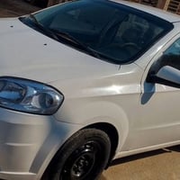 أفيو • ٢٠١٠ • النجف الاشرف