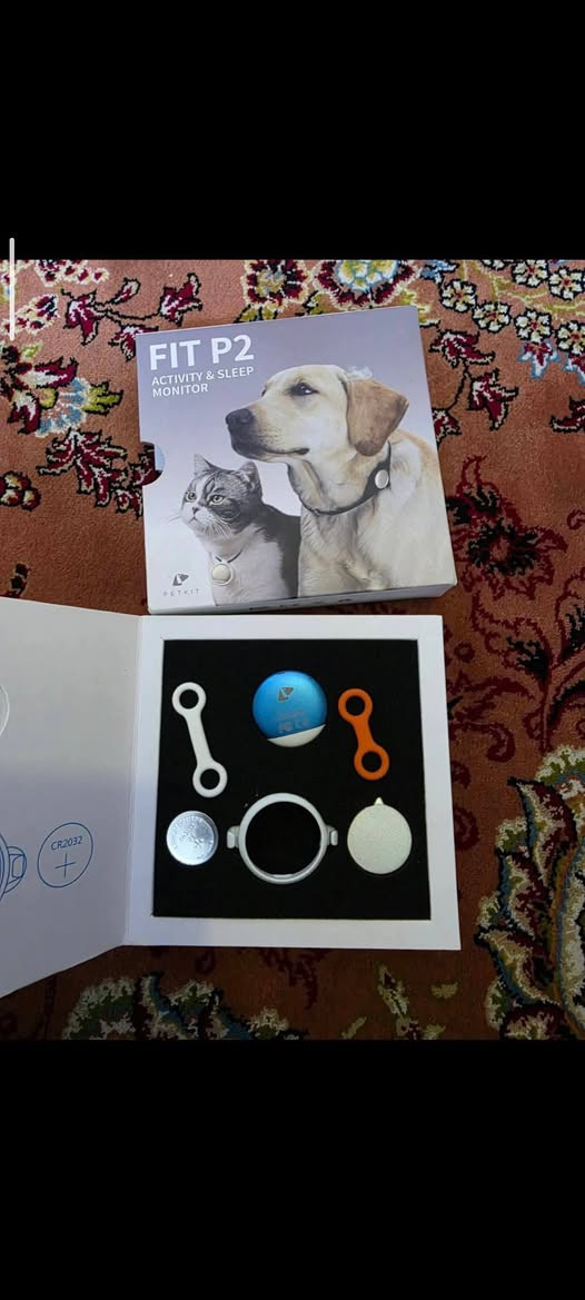 15 مع التوصيل


**إذا كنت صاحب هذا الإعلان وتريد حذفه لأي سبب، رجاءا أرسل رسالة إلى الدعم الفني**