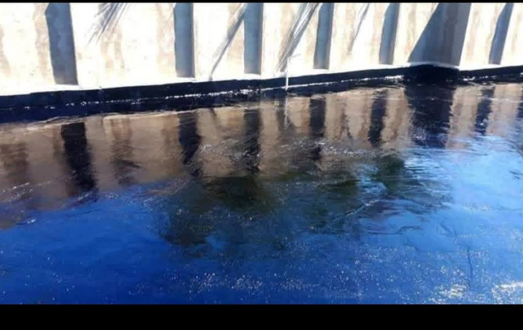 ***********// ***********
