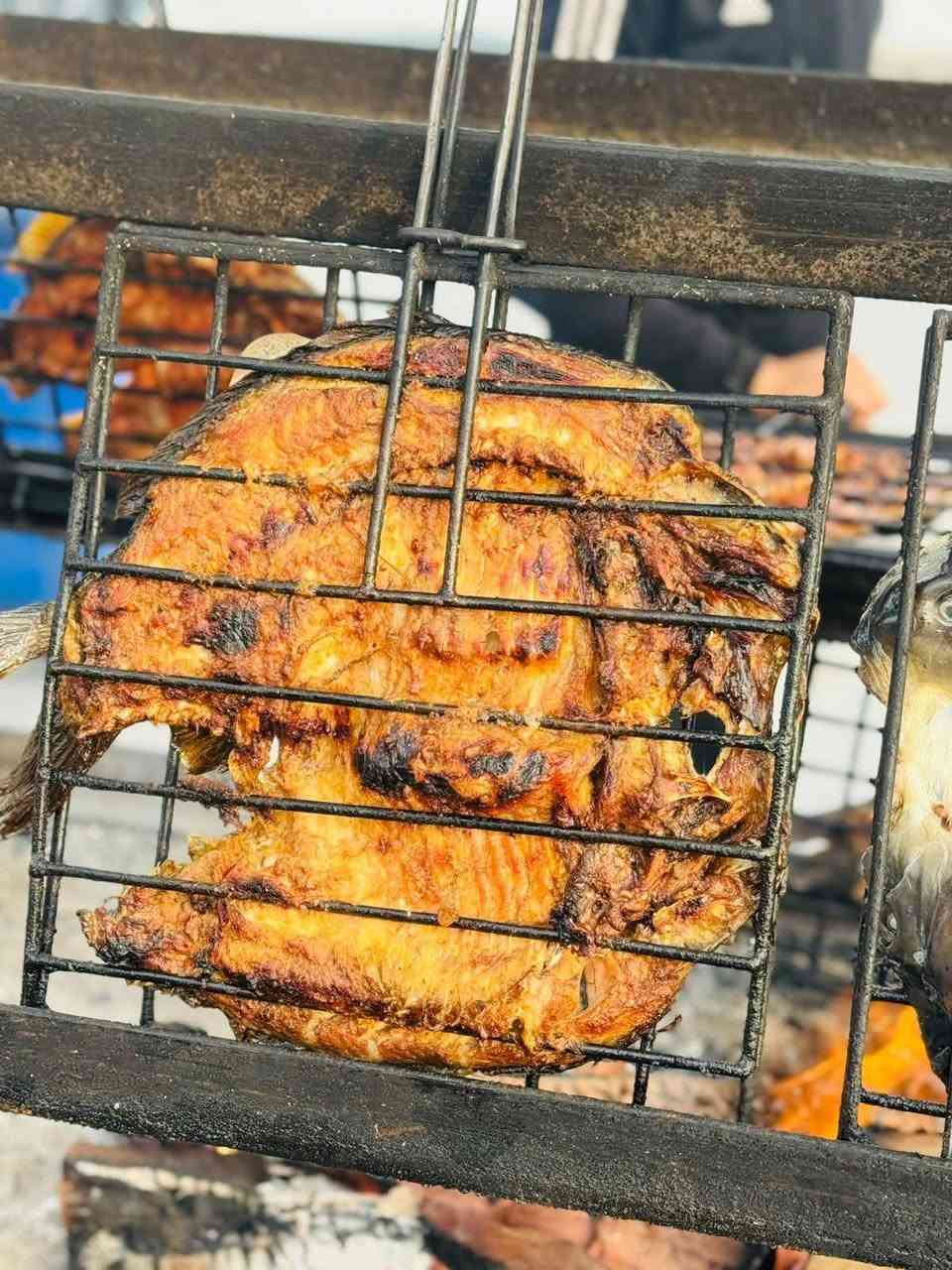 يالله عرض خاص الئ صحاب الثوبات فقط فقط سعر الكيلو 6ونص كامل مع المقبلات والخبز 👇👇 ***********
