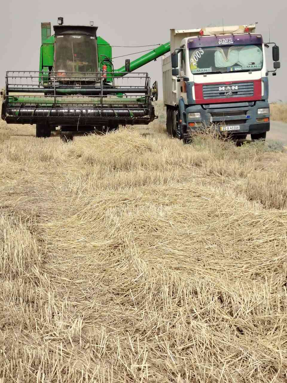 حاصده جندير موديل 81 نضافه فول محرك پم كله بلاد الاستفسار رقم ‏‪***********‬‏
