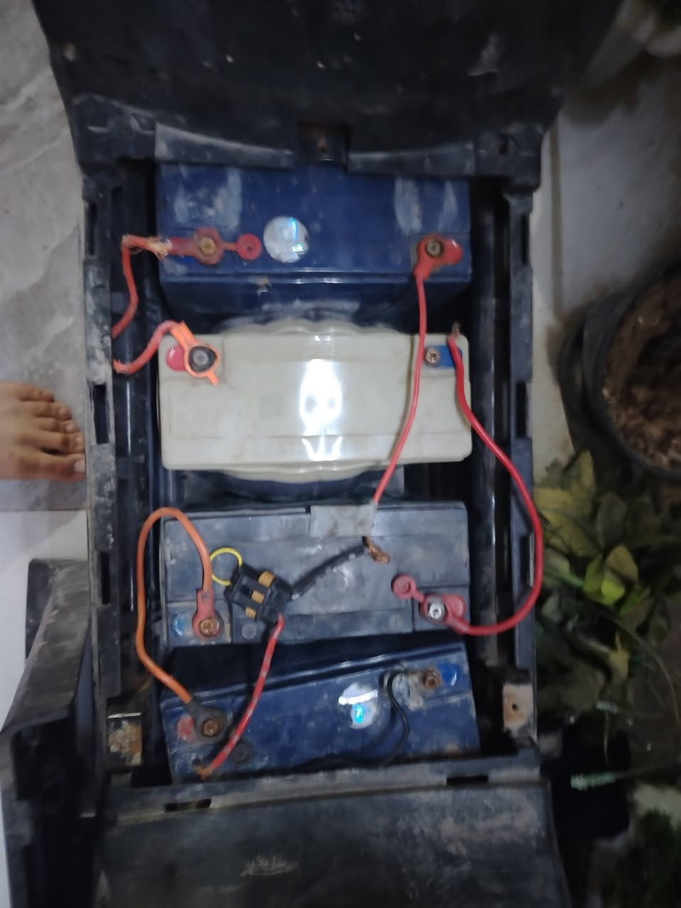 سلام عليكم دراجه لبيع سعر 50 شوفت عينك دراجه راح  عوزه بس ضفيره وياه شاحنه مالته


**إذا كنت صاحب هذا الإعلان وتريد حذفه لأي سبب، رجاءا أرسل رسالة إلى الدعم الفني**