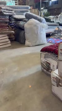 عرض يوم واحد • شارك المقطع • قطعه مجاناً