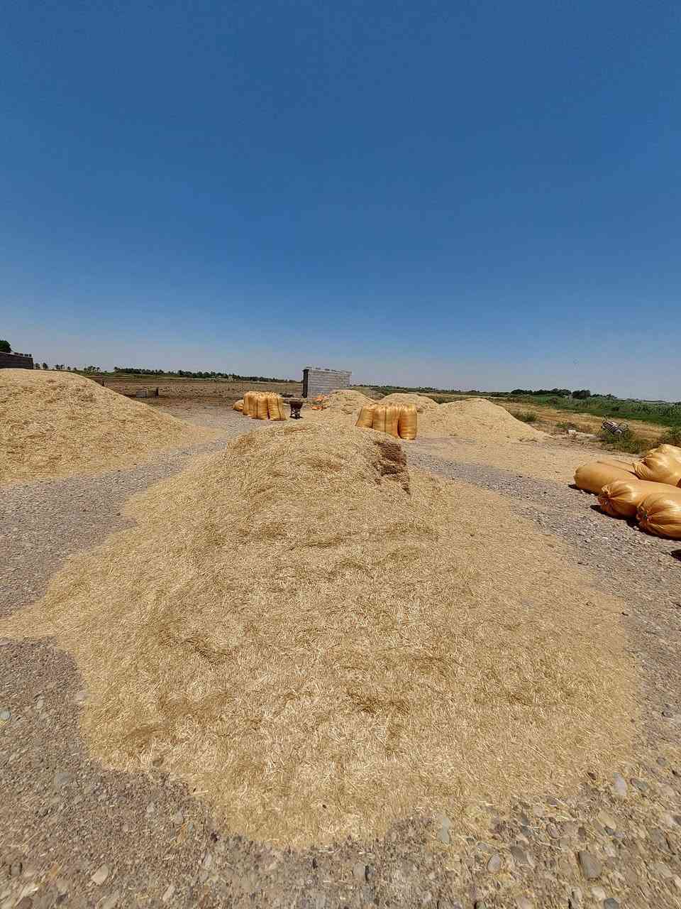 تبن للبيع شديد البياض مطحون بواسطة المعمل البيع على شكل عرباين ، فمن يرغب بالشراء الاتصال على الأرقام التالية 

***********
***********
المكان ( الكوت _ قريب على مقام السيد شاطي )
